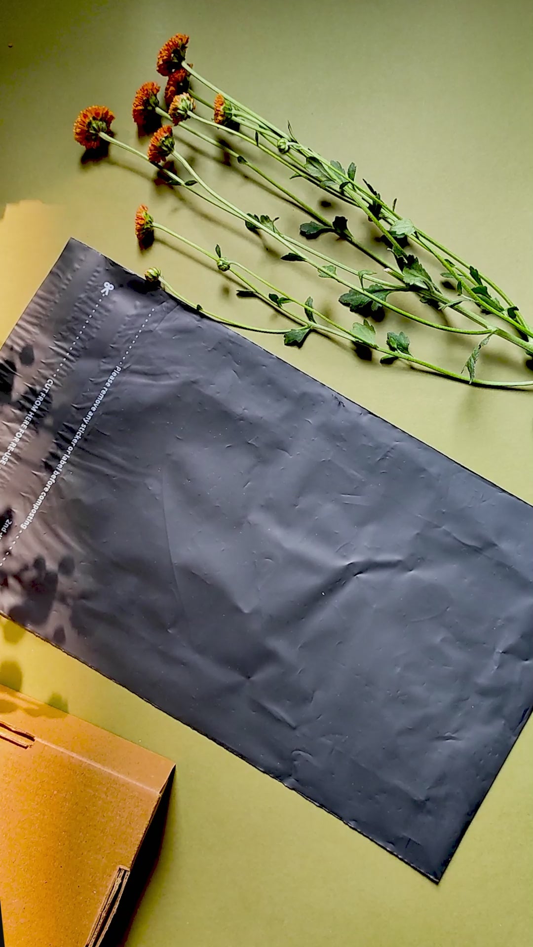 Compostable Black Mailers