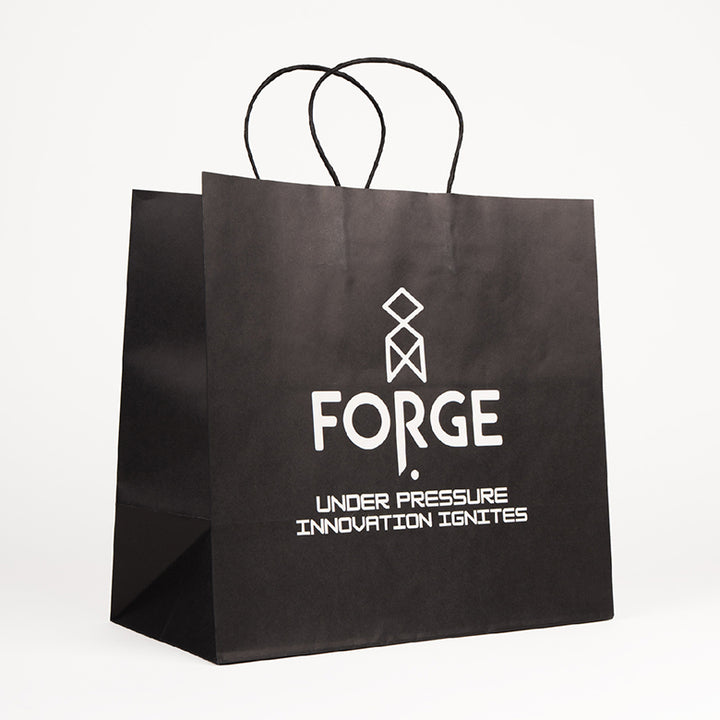 large paper shopping bags