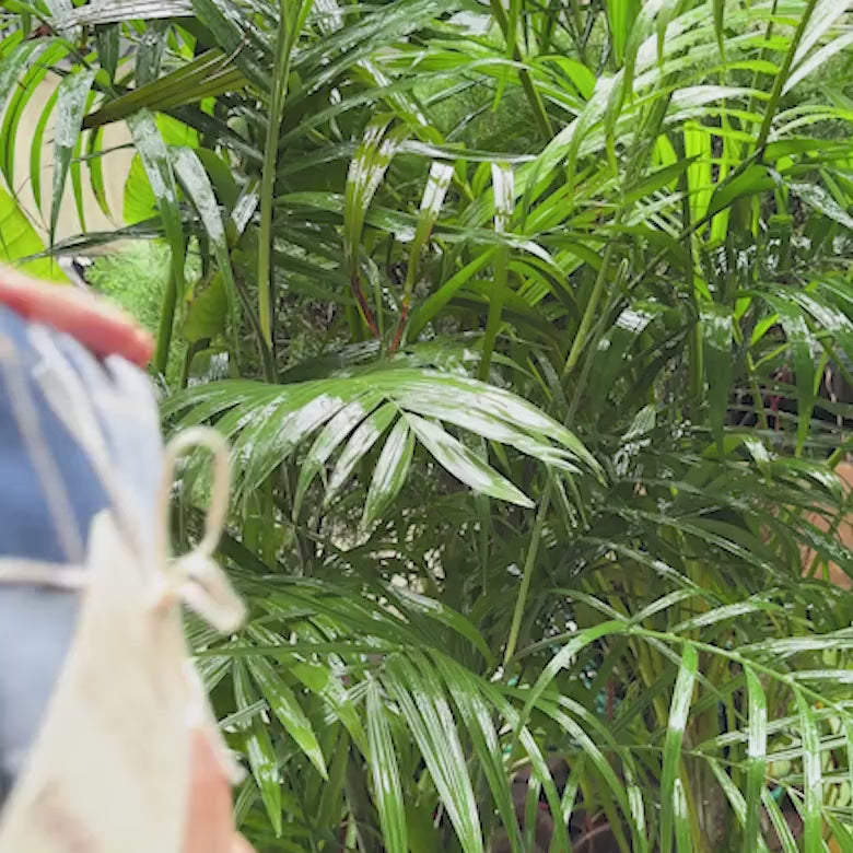 Custom Zip Lock Bags. Compostable, Sustainable & Reusable